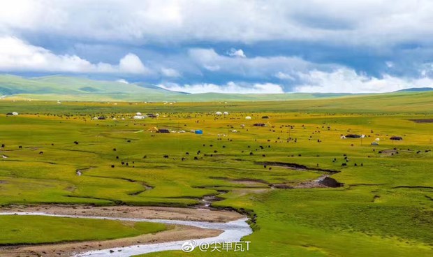 མཐོ་སྒང་བོད་ཀྱི་འབྲོག་པའི་རྩྭ་ཐང་།
