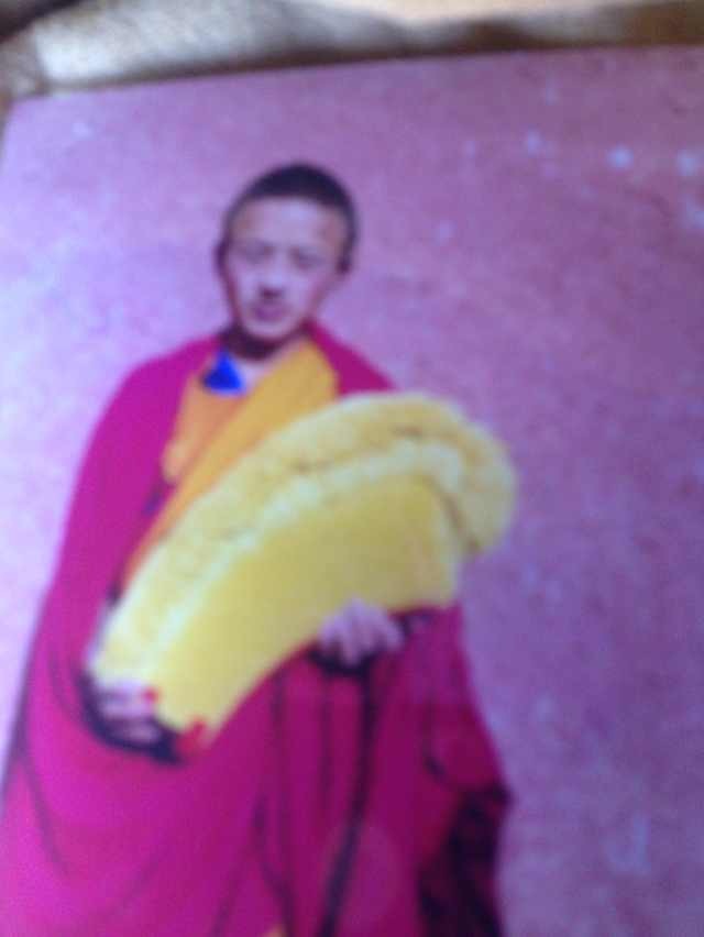 རྡོ་རྗེ་སྐྱབས་ལགས། 