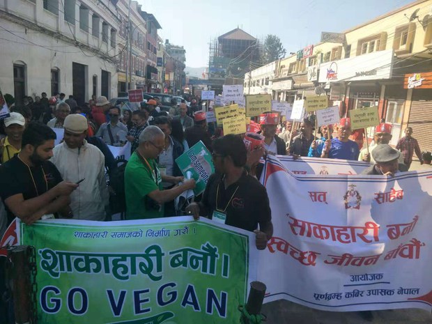 དམར་ཟས་སྤང་རྒྱུའི་སླད་རྔམ་སྟོན་ཁྲོམ་སྐོར་གྱི་ལས་འགུལ། དམར་ཟས་སྤང་རྒྱུའི་སླད་རྔམ་སྟོན་ཁྲོམ་སྐོར་གྱི་ལས་འགུལ།