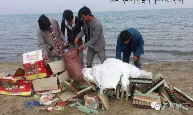 ས་གནས་བོད་མི་ཁག་གཅིག་གིས་མཚོ་སྔོན་པོའི་གད་སྙིགས་གཙང་བཟོ་གནང་བཞིན་པ། 