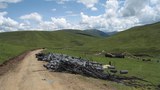 བོད་ནང་གི་འབྲོག་ས་ཞིག