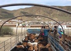 མདོ་ལྷོ་ཕྱོགས་སུ་གཞན་ཕན་ཀུན་སྣང་ཚོགས་པས་ཚེ་སྲོག་སྲུང་སྐྱོབ་ཀྱི་ལས་འགུལ་སྤེལ་སྐབས། ༢༠༡༦།༤