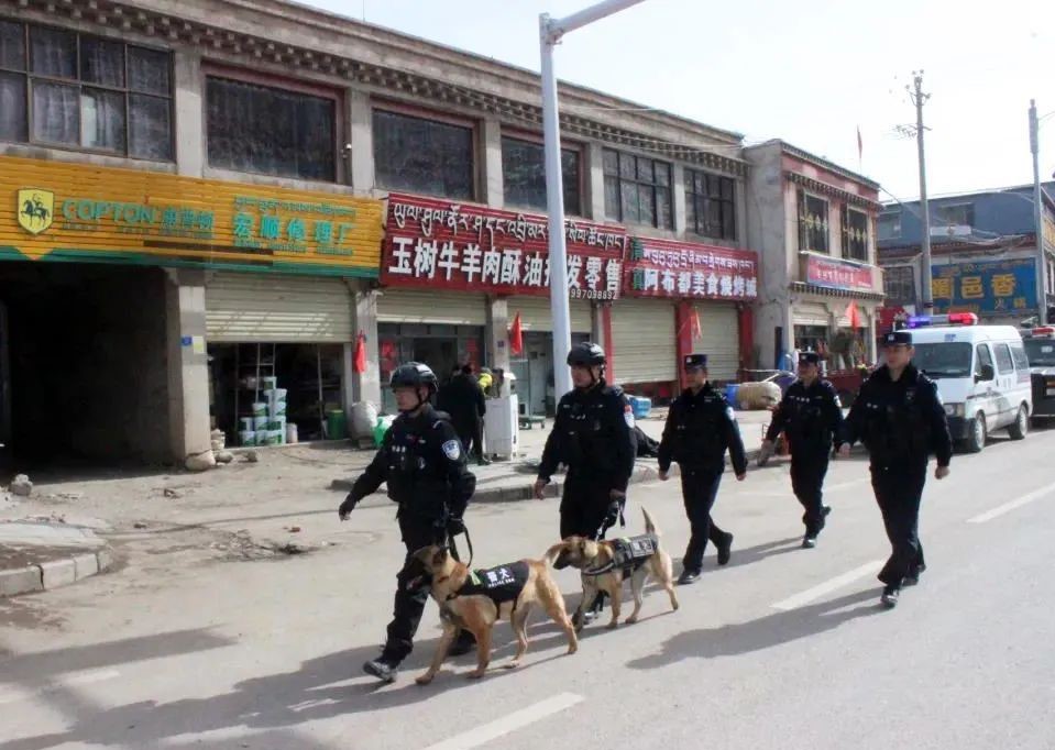 lhasa (1).JPG