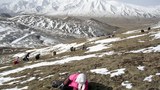 དབྱར་རྩྭ་དགུན་འབུ་དར་ཁྱབ་དང་སྤྱི་ཚོགས་ནང་གི་སེམས་ཚབས།