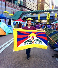 རྒྱ་རིགས་བོད་དོན་རྒྱབ་སྐྱོར་བས་ཧོང་ཀོང་ལ་བོད་ཀྱི་རྒྱལ་དར་འཕྱར་བ། ༢༠༡༤།༡༢།༡༠