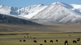 སྲིད་བྱུས་གུ་ཡངས་སུ་བཏང་།