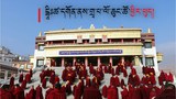 མདོ་སྨད་དྷཱིཿཚ་དགོན་པ་ནས་གྲྭ་པ་ལོ་ཆུང་ཚོ་ཕྱིར་ཕུད་ཀྱིས་རང་ཁྱིམ་དུ་བསྐྱེལ་ཡོད་འདུག
