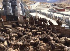 གསེར་རྟ་ཕྱོགས་ཀྱི་དུར་ཁྲོད་ཞིག