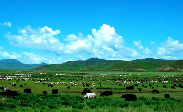 མདོ་སྨད་རྒན་གྱ་ཕྱོགས་ཀྱི་བོད་མི་ཁ་ཤས་ཉེན་རྟོག་པས་འཛིན་བཟུང་བཀག་ཉར་བྱས་ཡོད་འདུག
