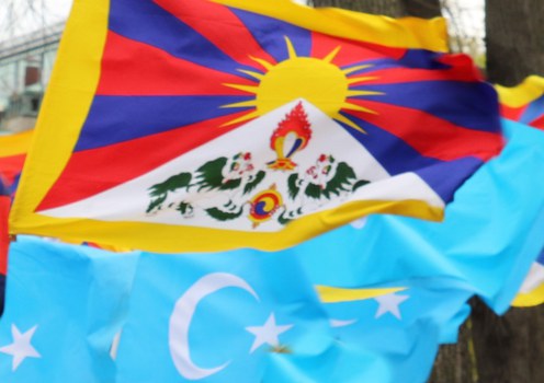 ཨ་རིའི་རྒྱལ་སར་རྒྱ་ནག་གི་སྲིད་འཛིན་ཞི་ཅིན་ཕིན་ལ་ངོ་རྒོལ་སྐབས་ལས་འགུལ་བའི་ཁྲོད་ཀྱི་བོད་ཀྱི་རྒྱལ་དར་དང་ཡུ་གུར་བའི་དར་ཆ། ༢༠༡༦།༣།༣༡