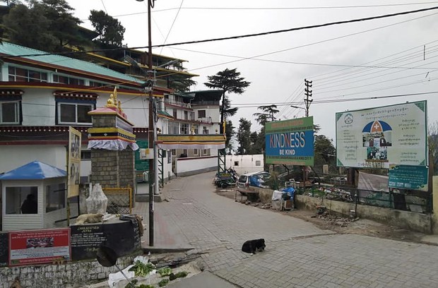 རྡ་སའི་གཙུག་ལག་ཁང་གི་སྲང་ལམ། ༢༠༢༠།༣།༢༡