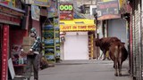 རྡ་རམ་ས་ལའི་མེག་ལོར་སྲང་ལམ། ༢༠༢༠།༣།༢༥