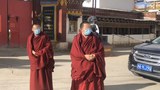 སྟག་ཚ་ཕྱོགས་སུ་ཏོག་དབྱིབས་ནད་འབུ་གསར་བ་སྔོན་འགོག ༢༠༢༠།༢
