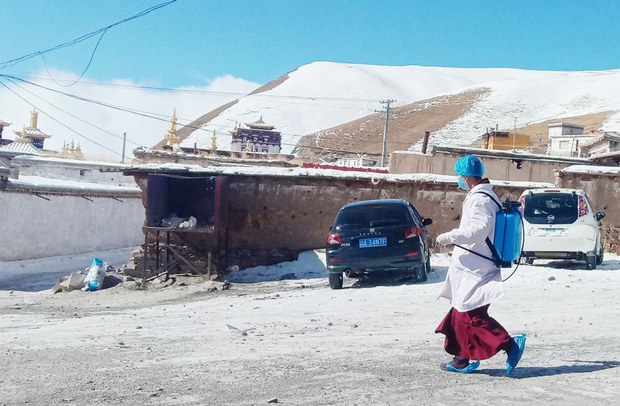 སི་ཁྲོན་དཀར་མཛེས་སེར་ཤུལ་ཕྱོགས་སུ་ཏོག་དབྱིབས་ནད་འབུ་སྔོན་འགོག་བྱེད་བཞིན་པ། ༢༠༢༠།༢