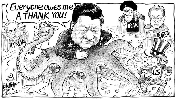 ཏོག་དབྱིབས་ནད་ཡམས་གསར་བ་དང་འབྲེལ་བའི་ཟུར་ཟའི་རི་མོ།