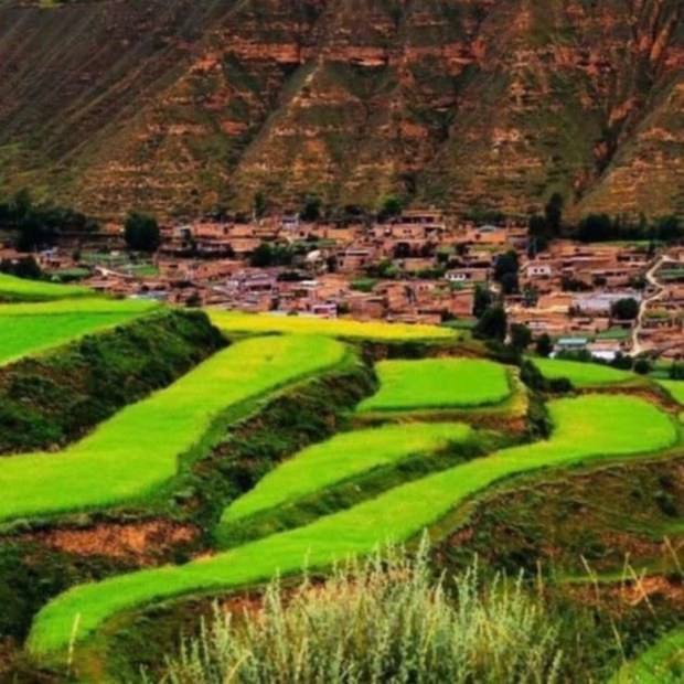 རྒྱ་ནག་གཞུང་གིས་ཡ་རྫི་རྫོང་ཀ་རིང་ཡུལ་ཚོའི་བོད་མིའི་དུད་ཚང་ཁག་བཙན་ཐབས་ཀྱིས་གནས་སྤོ་བྱེད་བཅུག་བཞིན་ཡོད་འདུག རྒྱ་ནག་གཞུང་གིས་ཡ་རྫི་རྫོང་ཀ་རིང་ཡུལ་ཚོའི་བོད་མིའི་དུད་ཚང་ཁག་བཙན་ཐབས་ཀྱིས་གནས་སྤོ་བྱེད་བཅུག་བཞིན་ཡོད་འདུག