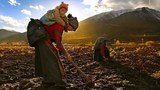 བོད་པའི་བུད་མེད་ཚོར་འཕྲད་བཞིན་པའི་གཏུམ་སྤྱོད་ཀྱི་དཀའ་སྡུག