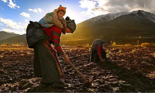 བོད་པའི་བུད་མེད་ཚོར་འཕྲད་བཞིན་པའི་གཏུམ་སྤྱོད་ཀྱི་དཀའ་སྡུག