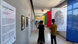 སྣ་ཚོགས་ཞེས་པའི་ཚོང་འདུས་ཅ་དངོས་དང་སྒྱུ་རྩལ་རི་མོ་ཁག་ཅིག་འགྲེམས་སྟོན་གནང་ཡོད་པ།