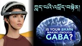 ཀླད་པའི་འཕྲོད་བསྟེན།