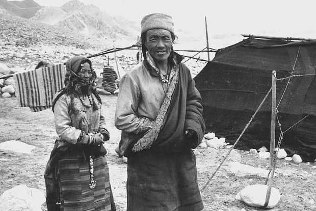 ཨ་རིའི་ཀོ་ལོ་རཱ་ཌོ་གཙུག་ལག་སློབ་གཉེར་ཁང་དུ་བོད་མཐོ་སྒང་གི་འབྲོག་སའི་འཚོ་གནས་སྐོར་པར་རིས་འགྲེམས་སྟོན། ཨ་རིའི་ཀོ་ལོ་རཱ་ཌོ་གཙུག་ལག་སློབ་གཉེར་ཁང་དུ་བོད་མཐོ་སྒང་གི་འབྲོག་སའི་འཚོ་གནས་སྐོར་པར་རིས་འགྲེམས་སྟོན།