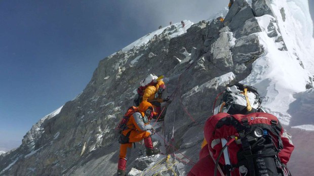 ཏོག་དབྱིབས་ནད་འབུ་ཇོ་མོ་གླང་མའི་རྩེ་ལ་ཡང་འབྱོར་ཡོད་པ།