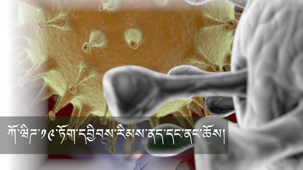 ཀོ་ཝིཌ་༡༩་ཏོག་དབྱིབས་རིམས་ནད་དང་ནང་ཆོས།