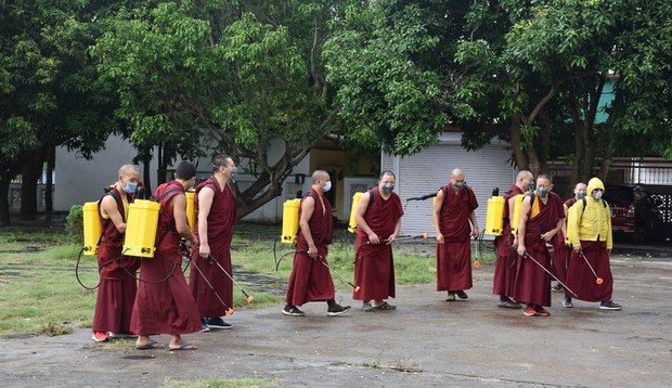 འབྲས་སྤུངས་སྒོ་མང་གྲྭ་ཚང་དུ་ཏོག་དབྱིབས་ནད་དུག་འགོས་ཁྱབ། འབྲས་སྤུངས་སྒོ་མང་གྲྭ་ཚང་དུ་ཏོག་དབྱིབས་ནད་དུག་འགོས་ཁྱབ།