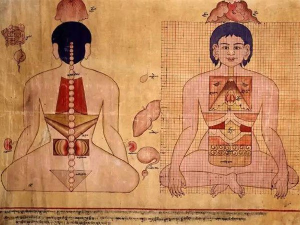 བོད་ཀྱི་གནའ་བོའི་གསོ་རིག་དང་།དེང་དུས་ཀྱི་ལུས་སྦྱོང་མཉམ་སྤྱོད་ཀྱི་ཕན་རླབས། བོད་ཀྱི་གནའ་བོའི་གསོ་རིག་དང་།དེང་དུས་ཀྱི་ལུས་སྦྱོང་མཉམ་སྤྱོད་ཀྱི་ཕན་རླབས།