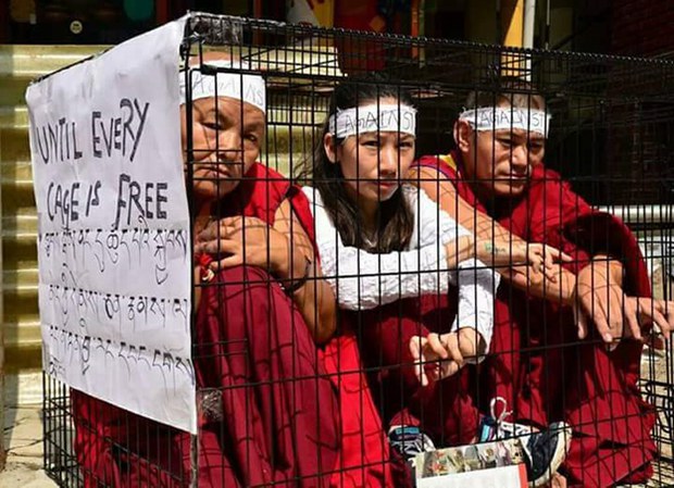 སྨན་པ་བསྟན་འཛིན་ཆོས་ལྡན་ལགས་ལ་གཟེངས་རྟགས་ཐོབ་ཡོད་པ། སྨན་པ་བསྟན་འཛིན་ཆོས་ལྡན་ལགས་ལ་གཟེངས་རྟགས་ཐོབ་ཡོད་པ།