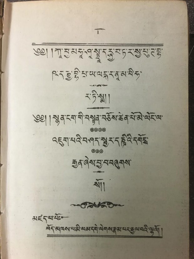 རྒྱ་གར་གྱི་སྙན་ངག་མེ་ལོང་མའི་ཤུགས་རྐྱེན།