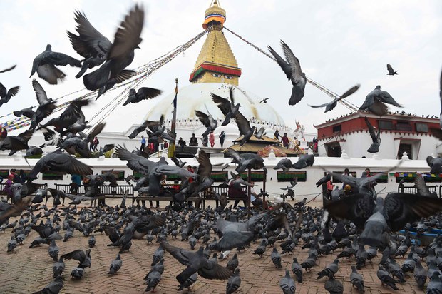 མཐའ་མེད་བྱང་སེམས་རོགས་སྐྱོར་ཚོགས་པ།
