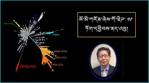 ཨོ་མི་ཀརོཎ་ཞེས་ཀོ་ཝིཌ་ ༡༩ ཏོག་དབྱིབས་ནད་འབུ།