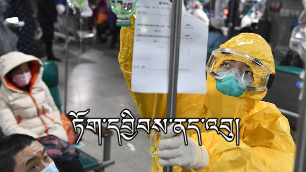 ཏོག་དབྱིབས་ནད་འབུའི་ནང་མིའི་ནང་འགོས་ཁྱབ།