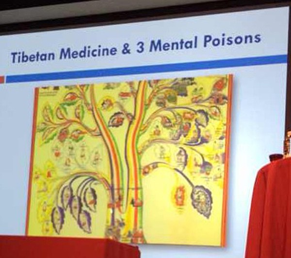 རྒྱལ་སྤྱིའི་བོད་ཀྱི་གསོ་རིག་ཚོཊ་འདུ་ཐེངས་༢པ། རྒྱལ་སྤྱིའི་བོད་ཀྱི་གསོ་རིག་ཚོཊ་འདུ་ཐེངས་༢པ།