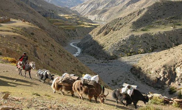 དོལ་པོའི་ནང་གི་ཤེས་ཡོན་གནས་སྟངས།