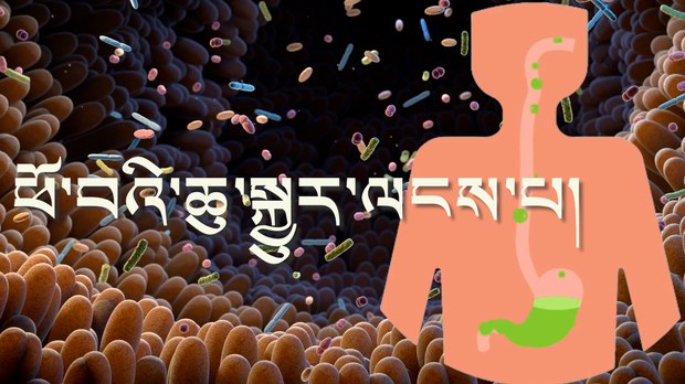 ཕོ་བར་ཆུ་སྐྱུར་ལངས་པ་དང་འབྲེལ་བའི་འཕྲོད་བསྟེན།
