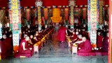སེར་བྱེས་གྲྭ་ཚང་དུ་རྟ་མགྲིན་གྱི་བརྙེན་པ་གྲངས་གསོག་གནང་བ།
