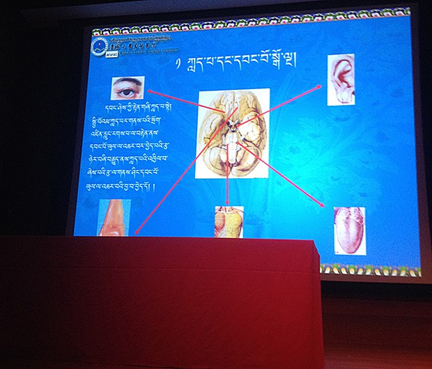 བོད་སྨན་ཨ་རིའི་སྤྱི་ཚོགས་ནང་ལག་ལེན་བྱེད་ཐབས་དང་ཕན་ནུས། བོད་སྨན་ཨ་རིའི་སྤྱི་ཚོགས་ནང་ལག་ལེན་བྱེད་ཐབས་དང་ཕན་ནུས།