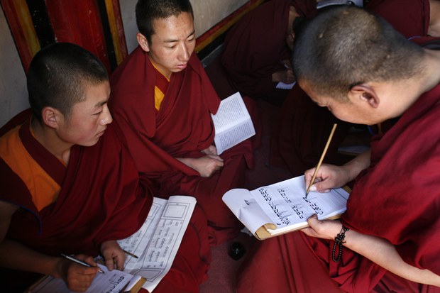 མི་རིགས་གཅིག་གནས་ཐུབ་མིན་སྐད་ཡིག་དང་རིག་གཞུང་ལ་ཐུགས་ཡོད།