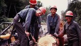 ཨ་རིར་འབྱོར་བའི་བོད་མི་ཤིང་གཅོད་པ།