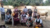 བུད་མེད་ལྷན་ཚོགས་ནས་གོ་ཕྱུགས་ཚེ་ཐར་གནང་བ།