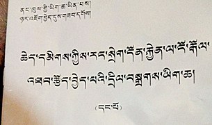 རྒྱ་གཞུང་གིས་རང་སྲེག་ངོ་རྒོལ་དང་འབྲེལ་བའི་ཡིག་ཆ་འགྲེམ་སྤེལ། རྒྱ་གཞུང་གིས་རང་སྲེག་ངོ་རྒོལ་དང་འབྲེལ་བའི་ཡིག་ཆ་འགྲེམ་སྤེལ།