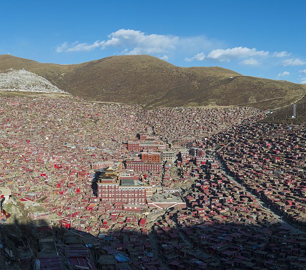 རང་སྲེག་ལ་འགོག་རྒོལ་གྱི་དམག་སྦྱོང་། རང་སྲེག་ལ་འགོག་རྒོལ་གྱི་དམག་སྦྱོང་།