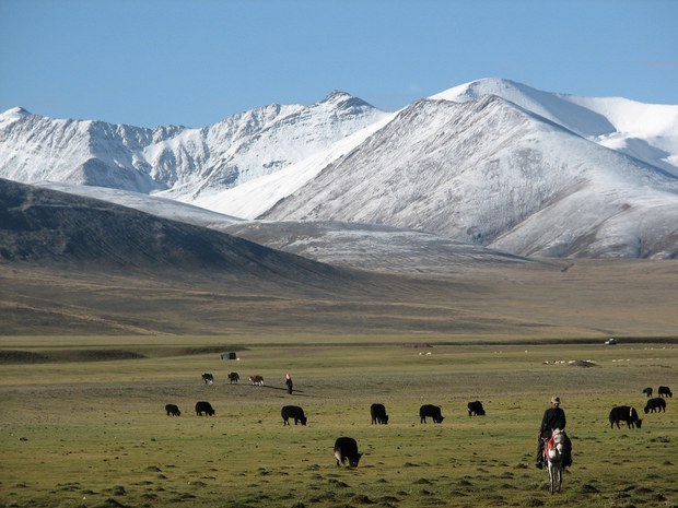 གོ་ལ་སྤྱི་དང་བོད་ཀྱི་གནམ་གཤིས་འགྱུར་ལྡོག