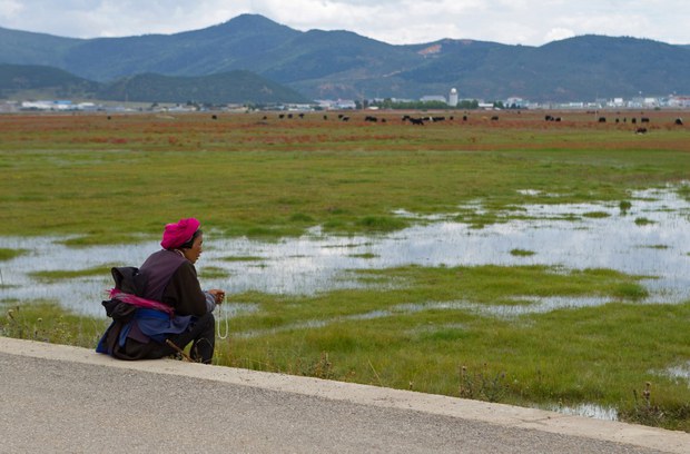 ས་ཞིང་ཐོག་ཁང་པ་གང་བྱུང་རྒྱག་མི་ཆོག་པའི་བཀའ་རྒྱ།