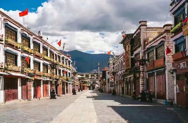 ཏོག་དབྱིབས་ནད་ཡམས་ཁྱབ་པའི་བོད།