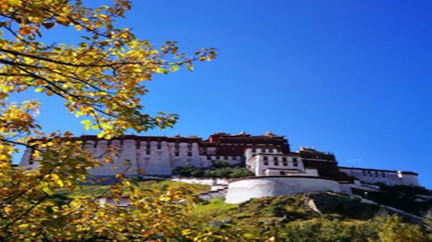 བོད་ཀྱི་རྒྱལ་ས་ལྷ་སའི་ནང་གི་དངོས་ཡོད་གནས་སྟངས།
