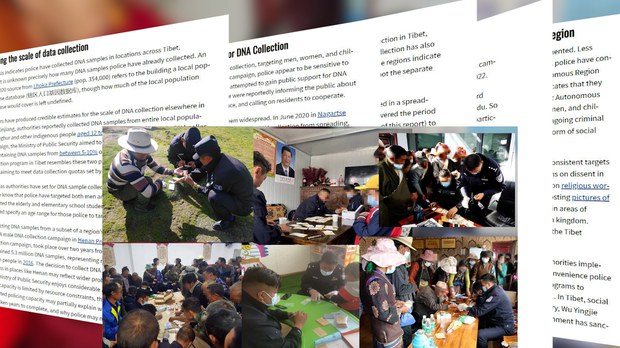 བོད་མིའི་རིགས་རྫས་ DNA བཙན་བཤེད་ཀྱིས་བསྡུ་རུབ།