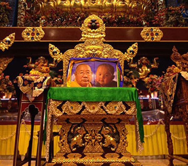 གྲུབ་དབང་པད་ནོར་སྐུ་ཐོག་བཅུ་གཅིག་པའི་ཡང་སྲིད་ཁྲི་འདོན་གནང་རྒྱུ། གྲུབ་དབང་པད་ནོར་སྐུ་ཐོག་བཅུ་གཅིག་པའི་ཡང་སྲིད་ཁྲི་འདོན་གནང་རྒྱུ།